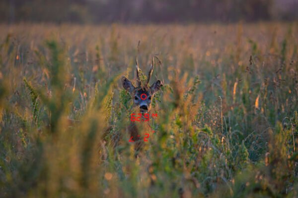 GPO RANGEGUIDE Távolságmérő Keresőtávcső 2800 8x32